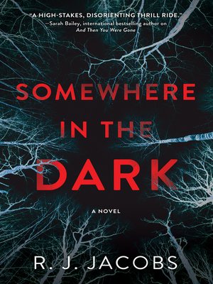 cover image of Somewhere in the Dark